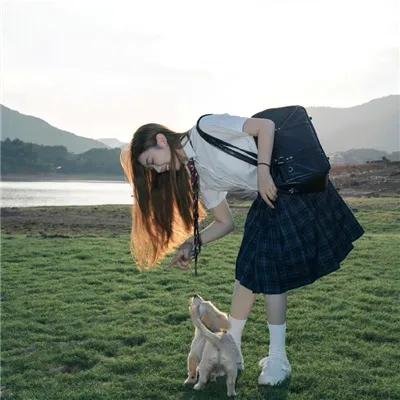安妮·法兰克的最后七个月